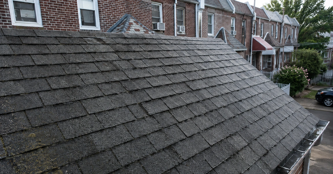 Home Spennato Family Roofing Close-up photo showing roof algae removal in Philadelphia on a shaded asphalt shingle roof in a rowhome neighborhood